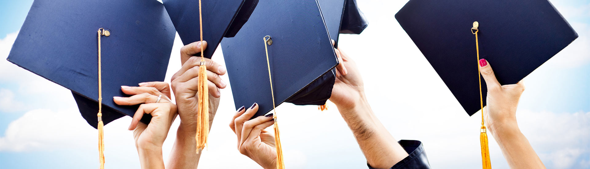 florida-issues-education-single02