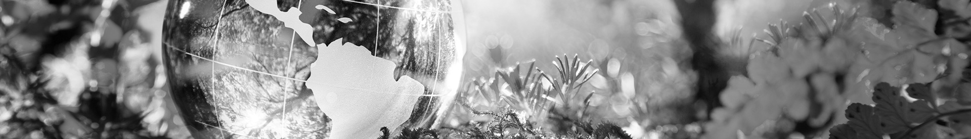 florida-issues-environment-single01