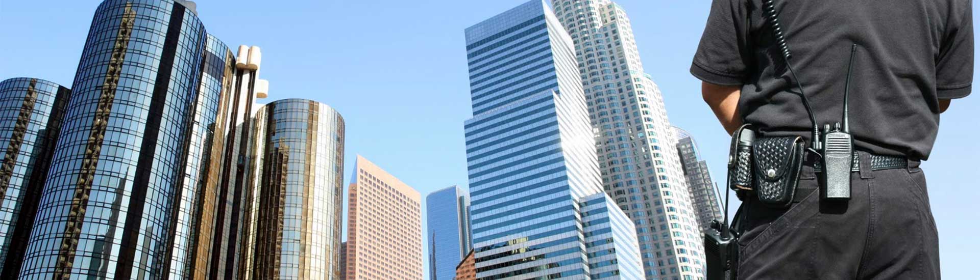 florida-issues-security-single02