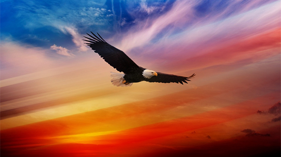 independence_day_usa_8